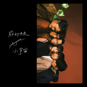 裸体比基尼美女虑待尿口
